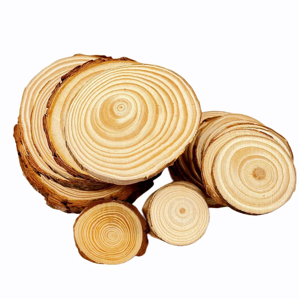 Natural Pine Wood Craft Slices (1 Pack)