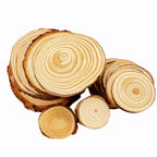 Natural Pine Wood Craft Slices (1 Pack)