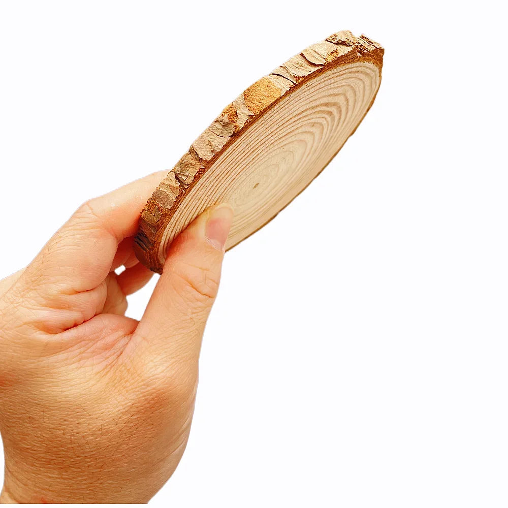 Natural Pine Wood Craft Slices (1 Pack)