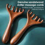 Wooden 6-Claw Head Massager and Meridian Comb