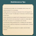 Wooden 6-Claw Head Massager and Meridian Comb