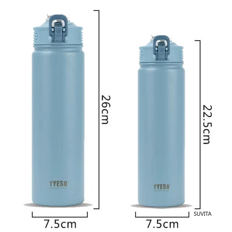 Double-Wall Thermal Water Bottle with Straw (600ml/750ml)Hot & Cold for 8-10 hours