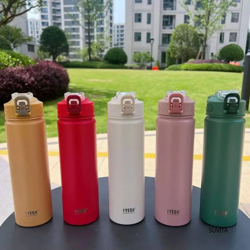 Double-Wall Thermal Water Bottle with Straw (600ml/750ml)Hot & Cold for 8-10 hours