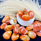 Polished Sardonyx & Agate Palm Stones