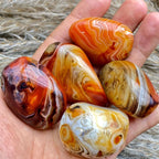 Polished Sardonyx & Agate Palm Stones
