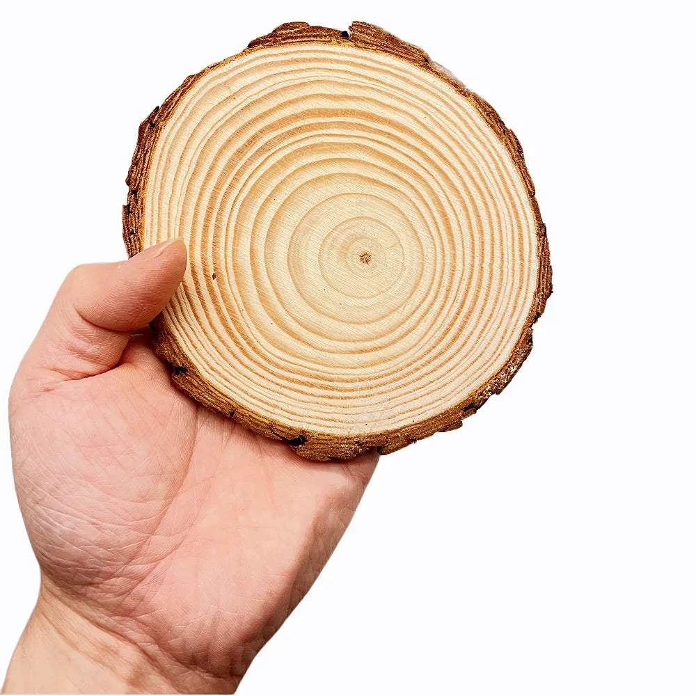 Natural Pine Wood Craft Slices (1 Pack)