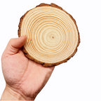 Natural Pine Wood Craft Slices (1 Pack)