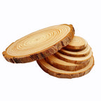 Natural Pine Wood Craft Slices (1 Pack)